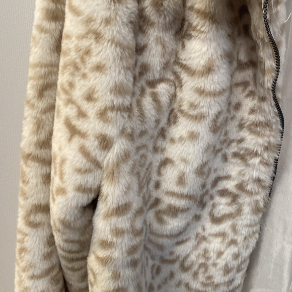 Jacket - Picture 2 of 2